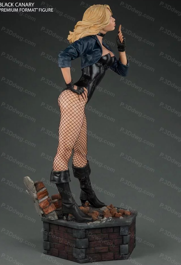 图片[3]-DC漫画 黑金丝雀-P站图纸收藏馆