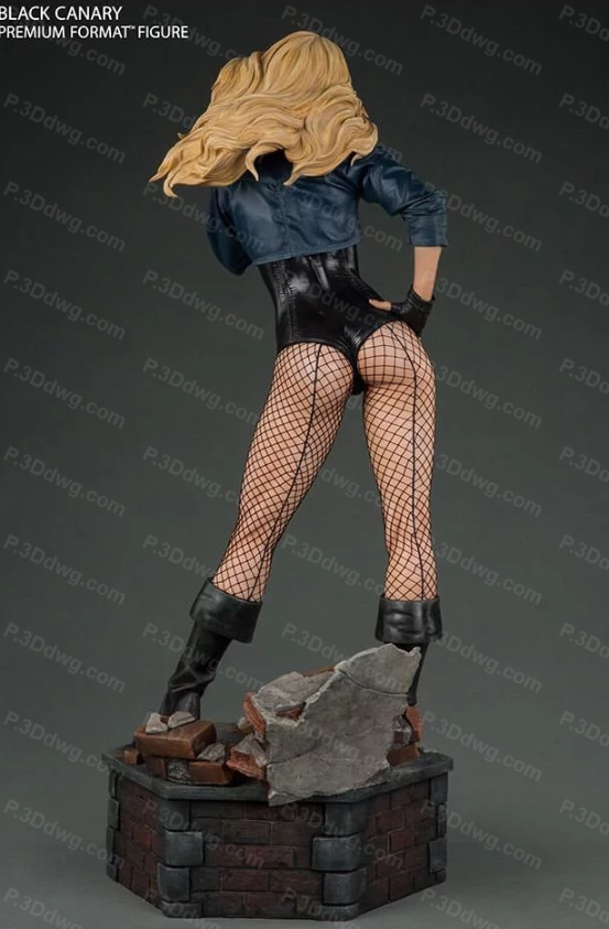 图片[4]-DC漫画 黑金丝雀-P站图纸收藏馆