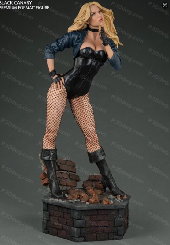 DC漫画 黑金丝雀-P站图纸收藏馆