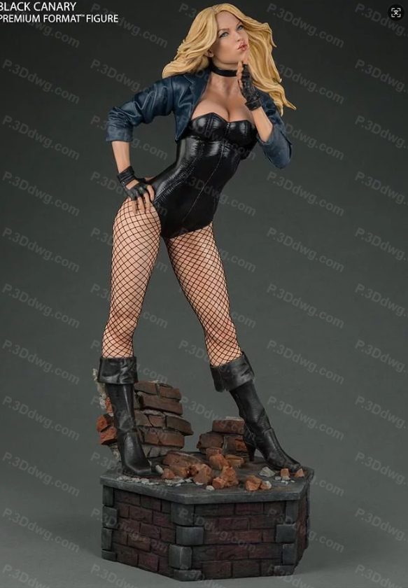 DC漫画 黑金丝雀-P站图纸收藏馆