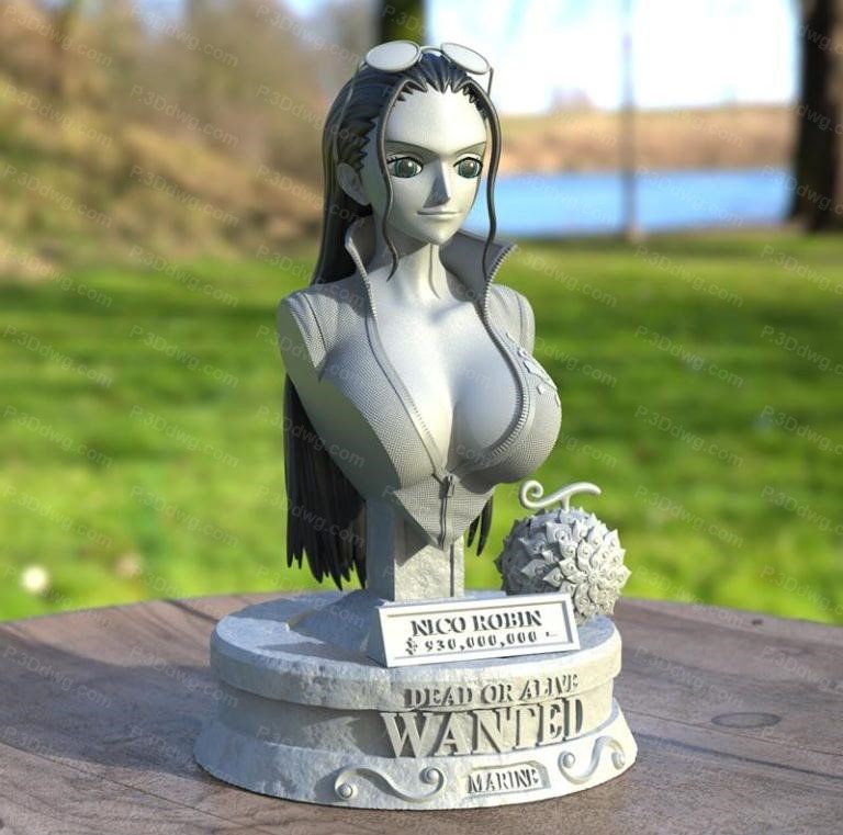 图片[2]-海贼王 妮可·罗宾和朱洛基尔·米霍克-P站图纸收藏馆