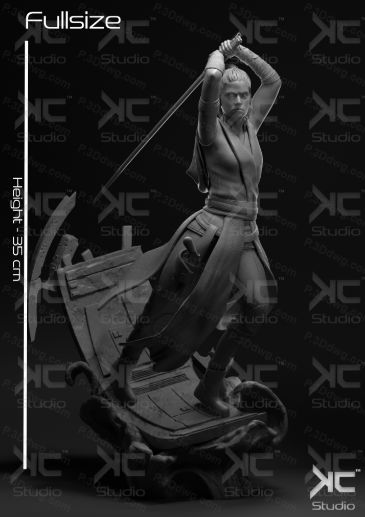 图片[2]-星球大战 蕾伊-P站图纸收藏馆