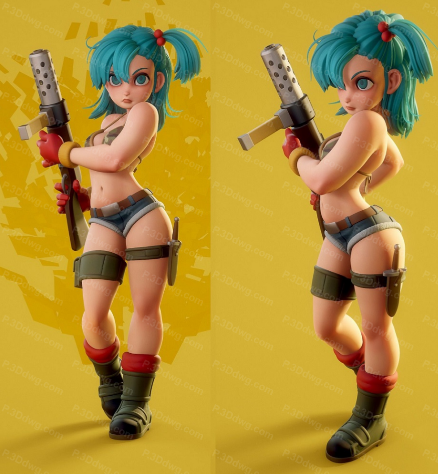 布尔玛-P站图纸收藏馆