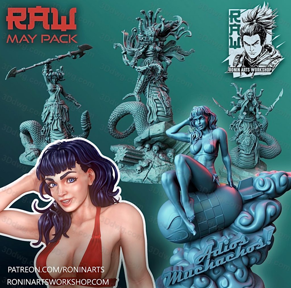 Ronin Arts 2022年5月图纸包-P站图纸收藏馆