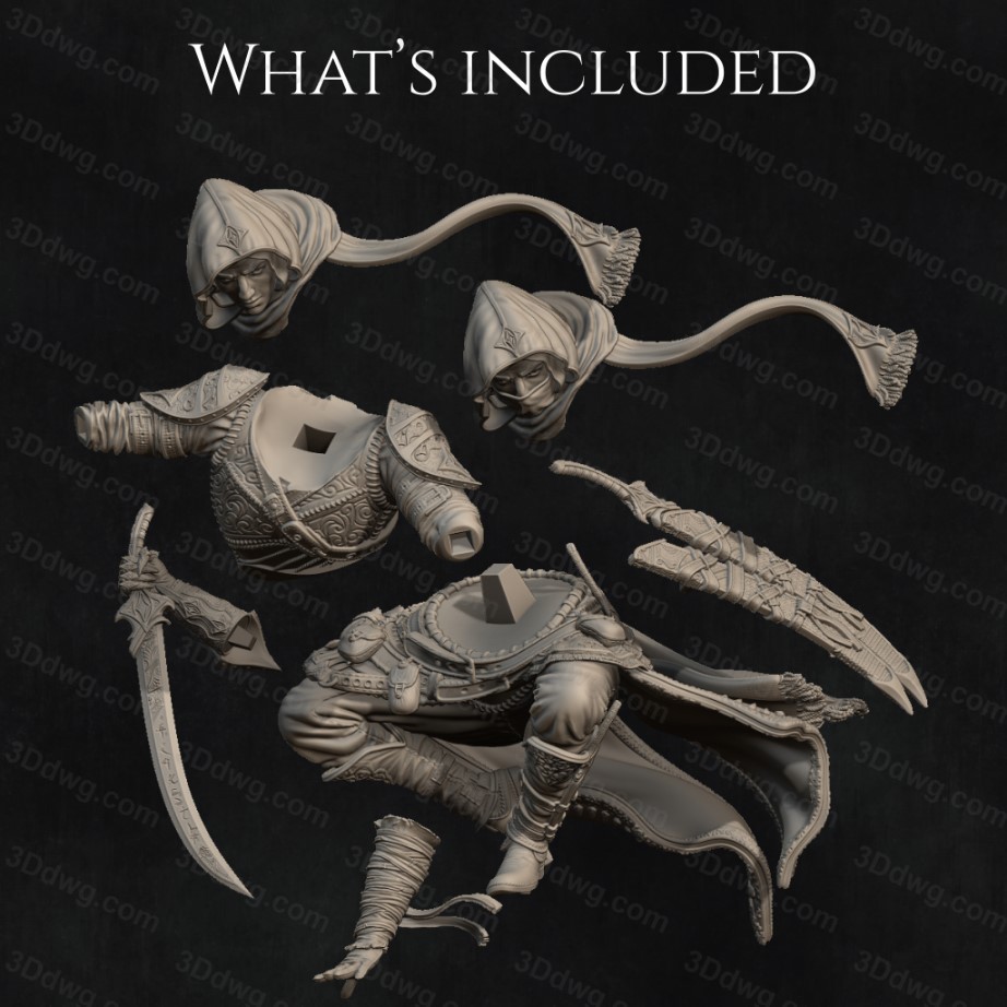 图片[4]-NeriKson 纳西尔 隐形之刃-P站图纸收藏馆