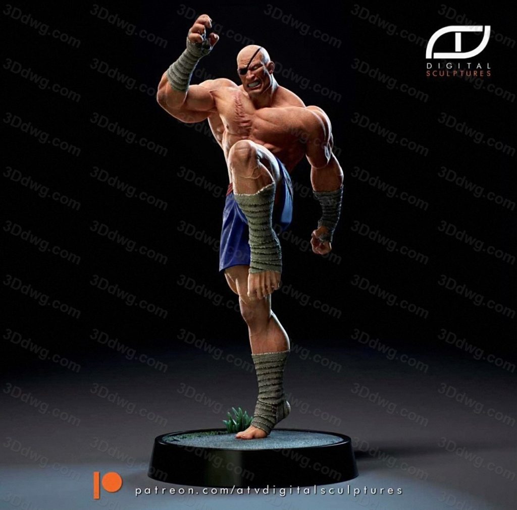 ATV 街头霸王 泰王-P站图纸收藏馆