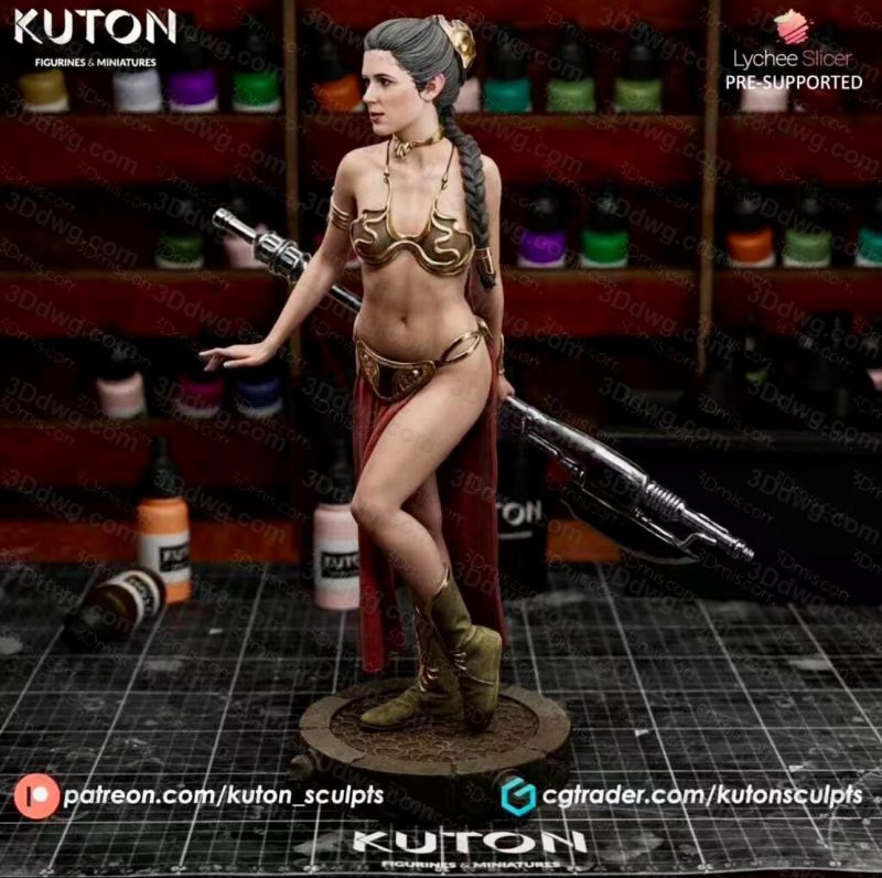 KUTON 星球大战 莉亚公主-P站图纸收藏馆