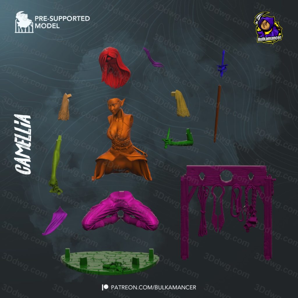 图片[2]-Bulkamancer 正义之怒 Camellia-P站图纸收藏馆