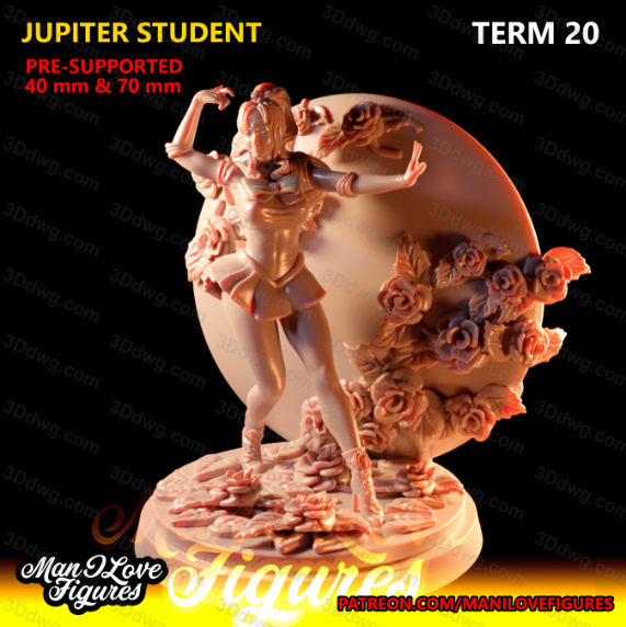 Man I Love 美少女战士 木野真琴-P站图纸收藏馆