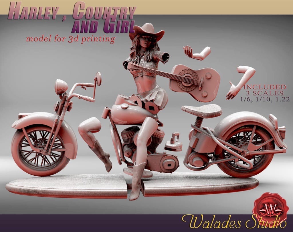 图片[2]-Walades 骑哈雷的乡村女孩-P站图纸收藏馆