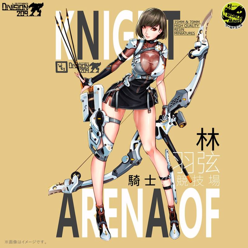 骑士竞技场 林羽弦-P站图纸收藏馆