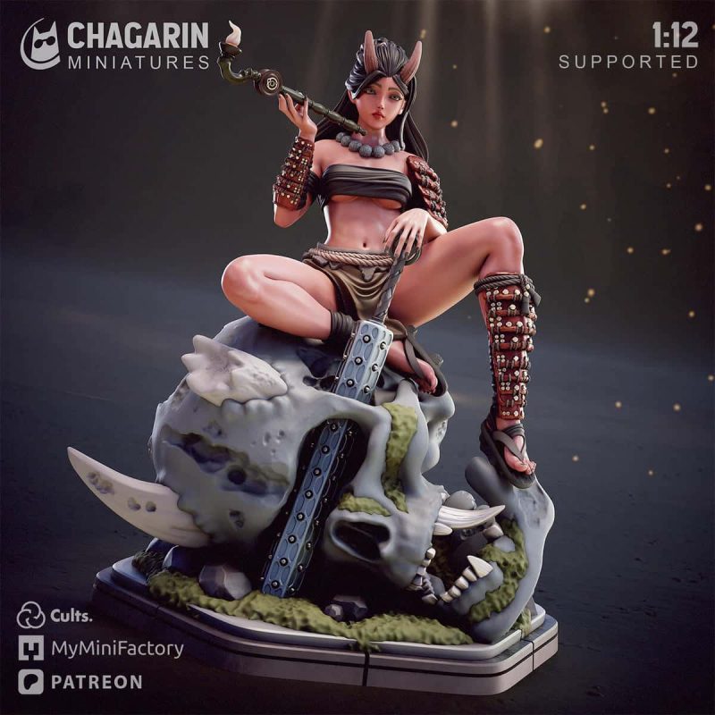 Chagarin ‌小白合-P站图纸收藏馆